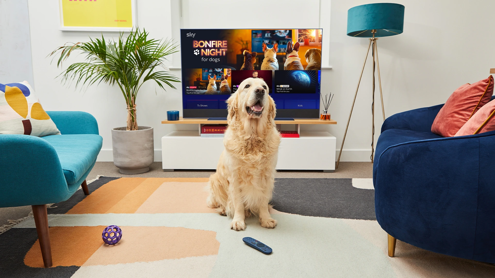 dog friendly bonfire night tv channel sky tv